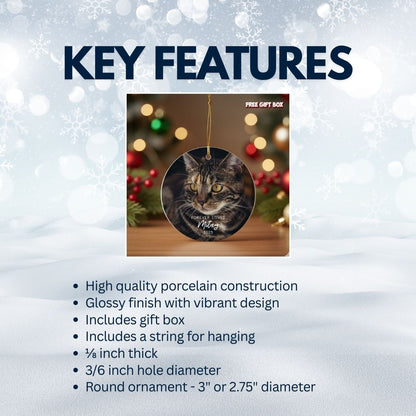 Personalized Pet Memorial Ceramic Ornament